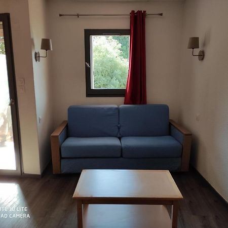 Appartement Les Palmiers نيس المظهر الخارجي الصورة