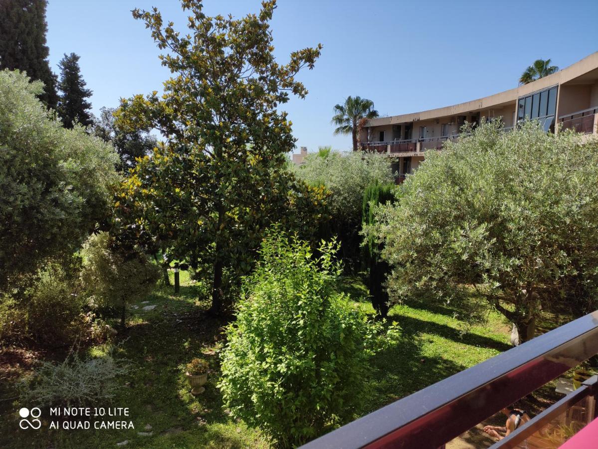 Appartement Les Palmiers نيس المظهر الخارجي الصورة